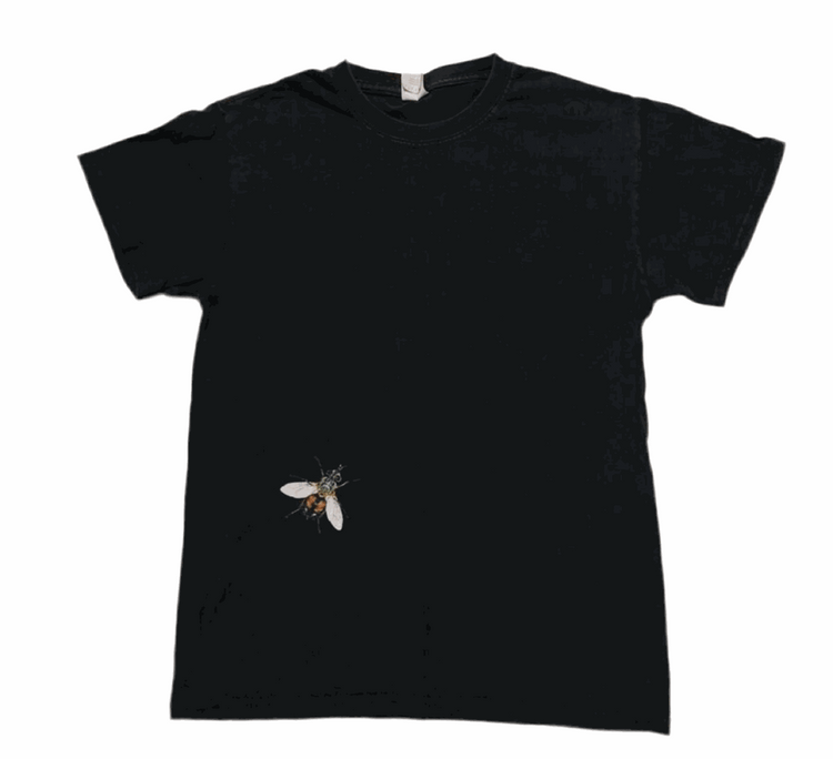 Travis Scott Birds Eye View