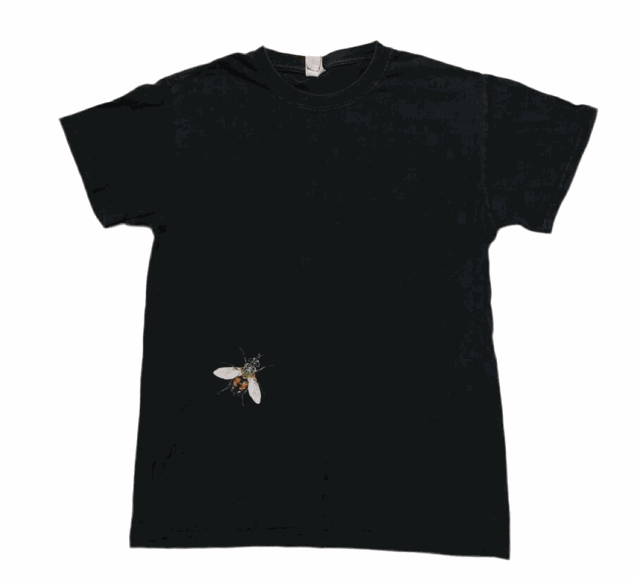 Travis Scott Birds Eye View